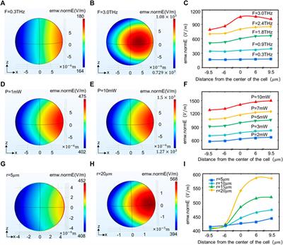 The laws and effects of terahertz wave interactions with neurons